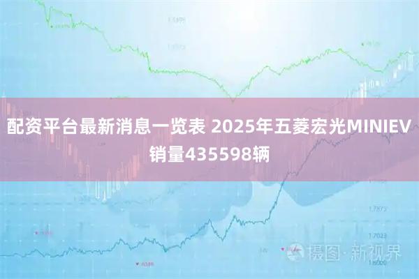 配资平台最新消息一览表 2025年五菱宏光MINIEV销量435598辆