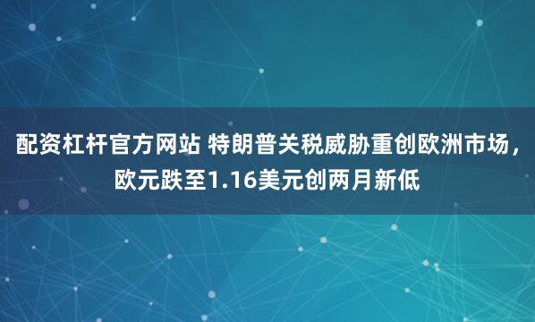 配资杠杆官方网站 特朗普关税威胁重创欧洲市场，欧元跌至1.16美元创两月新低